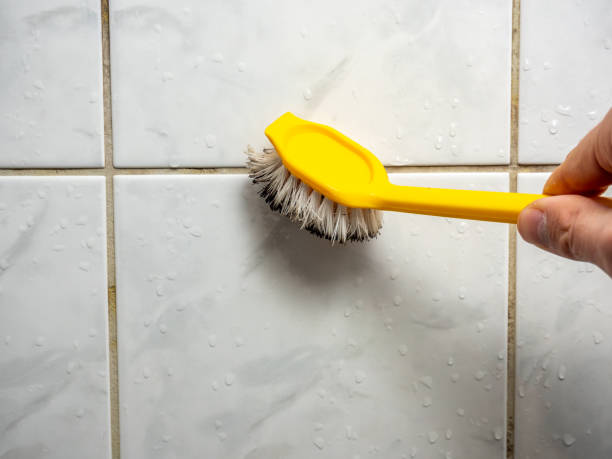 Best Local Mold Removal Service  in Lenox, IA