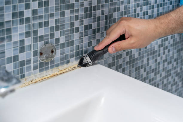 Best Water Damage Restoration  in Lenox, IA